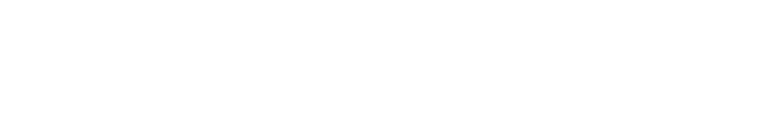 AIIVIIK